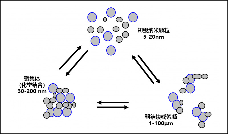 顏料顆粒、絮凝和團聚之間的關(guān)系